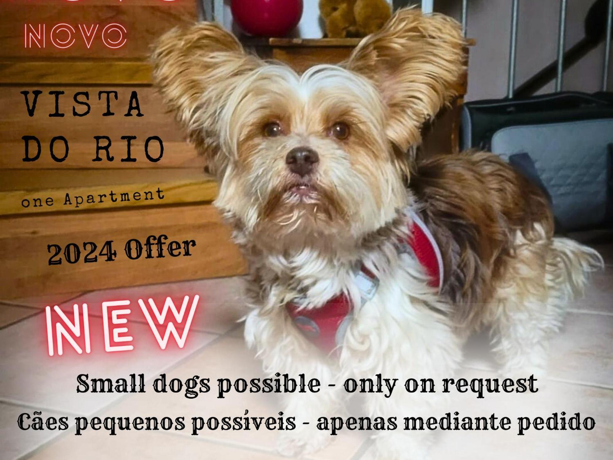 Encontro No Rio Bed & Breakfast Póvoa de Midões Eksteriør bilde